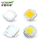 High Power White Golden Neutral Light 20W 30W 50W Integrated Epistar COB LED Light Source