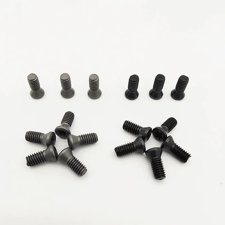 torx screw (3).jpg