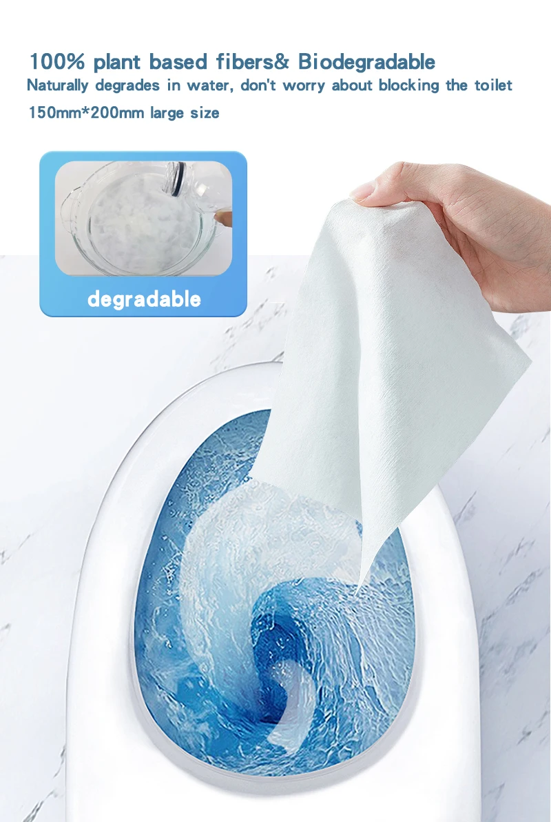 Eco Friendly Biodegradable Sensitive Wet Toilet Paper Buy Moist