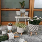 Office Planter Plant Planter With Plant Most Popular Office Desk Decor Succulent Planter Plant Pot With Wood Rack