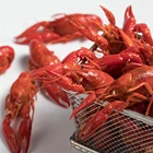Best Selling Plastic Box Style Packaging Crawfish Whole Lobster Crayfish With Shell