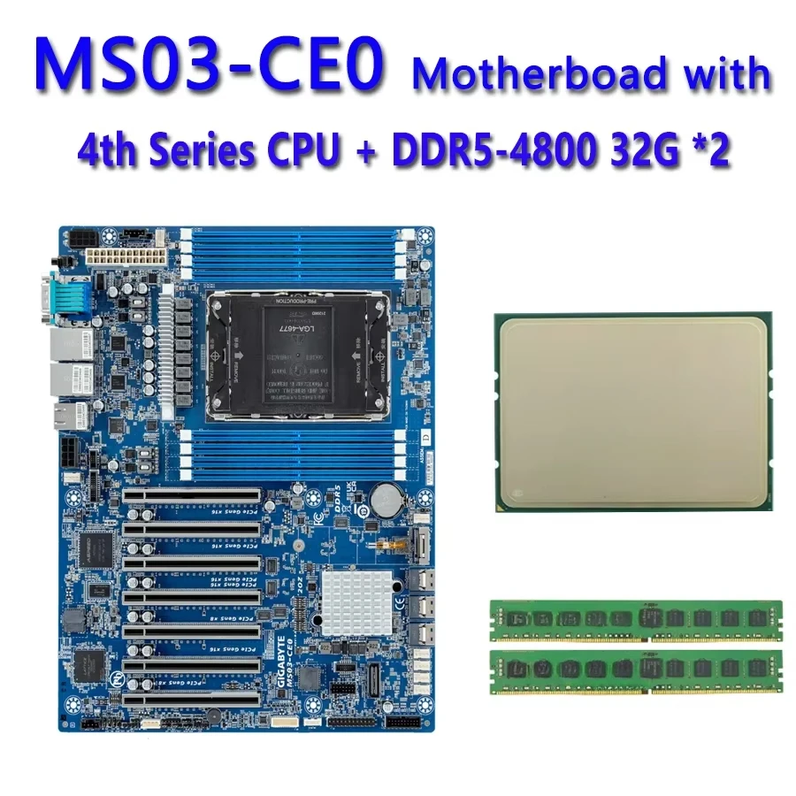 MS03-CE0 6.jpg