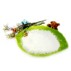 Starch In Starch World Leading Supplier Native Bio Degradable Corn Starch In Bulk