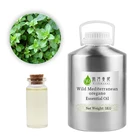 Oil Hot Selling Customized Label High Quality Natural Wild Mediterranean Oregano Essential Oil