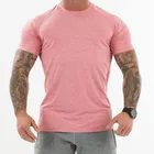 Shirt For Men Wholesale Quick Dry Gym Fitness Plus Size 95%Polyester 5%Spandex Sport T Shirt For Men
