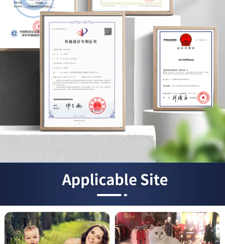 G5-S Hot Sale New Design Cat and Dog Hair Dryer Cabinet Small Pet Dryer Machine Pet Water Blower China Factory Direct Supplier