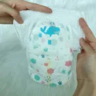 Plastic Pants Baby Plastic Pants Besuper Plastic Pants Comfort Baby Diaper Baby Diaper Canbebe