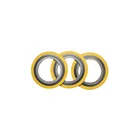 Gasket Asme Gasket ASME B16.20 With Outer Ring And Inner Ring 304 FG Spiral Wound Gasket