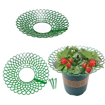 Diam 12.2in Large Size Gardening Plant Stand Strawberry Tray Rack Fruit Support Strawberry Holder with Legs