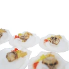 Shell Sea 2021 Primary Color Harbour Shell According To Demand Sea Seashall Hotate Of A Scallop