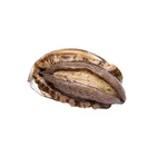 Abalone Abalone Green Abalone For Sale Chilean Abalone With Frozen Abalone