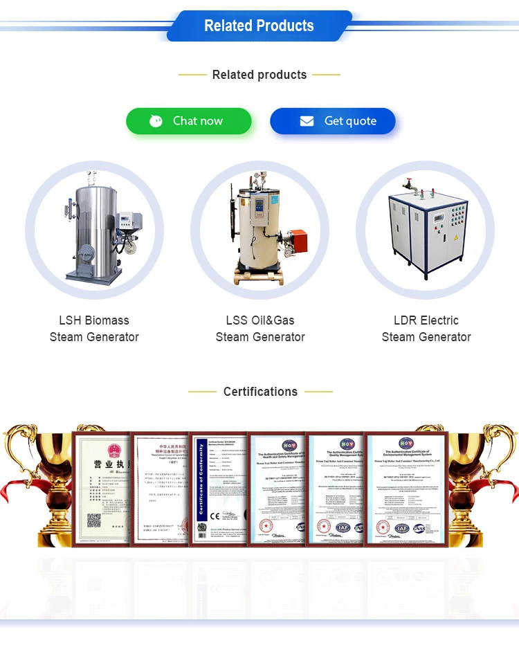 100Kg 200Kg 300Kg 400Kg Vertical Biomass Wood Pellet Chip Coal Fired Superheated Steam Generator For Beer Industry