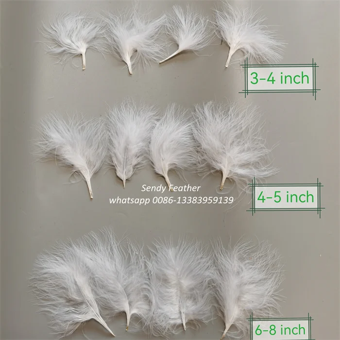 turkey marabou