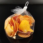 Wholesale Price DIY Gifts Orange scallops scallop shells for sale