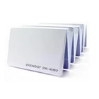 Card Factory Price Plastic PVC Card Business Card Printing Clamshell White Card