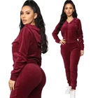 Velour Velvet Tracksuit Wholesale High Quality Velvet Custom Zip Hoodie Joggers 2 Piece Velour Tracksuit Women