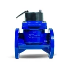 100 Wing DN 100 Horizontal Screw Wing Water Meter For Farmland Irrigation
