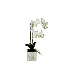 Plant Wall Plant Artificial Decorations Flowers Wall Wedding Decor For Wedding
