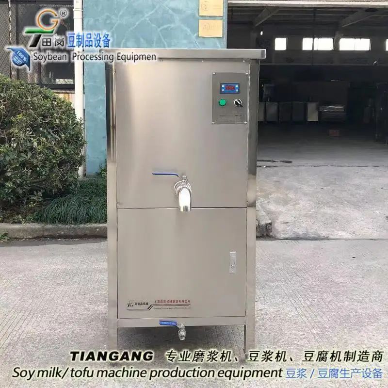 Steam Generator, LDR48-0.5Z - detail 6