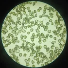 Diamond Yellow Color High Quality Znd Synthetic Diamond Powder