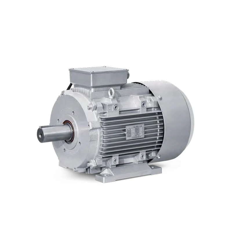 Industrial 30kw Permanent Magnet Synchronous Drive Motor 3 Phase Pmsm