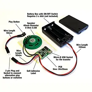 MP3 module