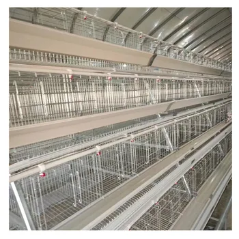 4tiers Poultry farm layer chicken cage with nipple drinker capacity 160 birds