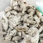 Coral Aquarium Landscaping Coral Stone Coral Sand