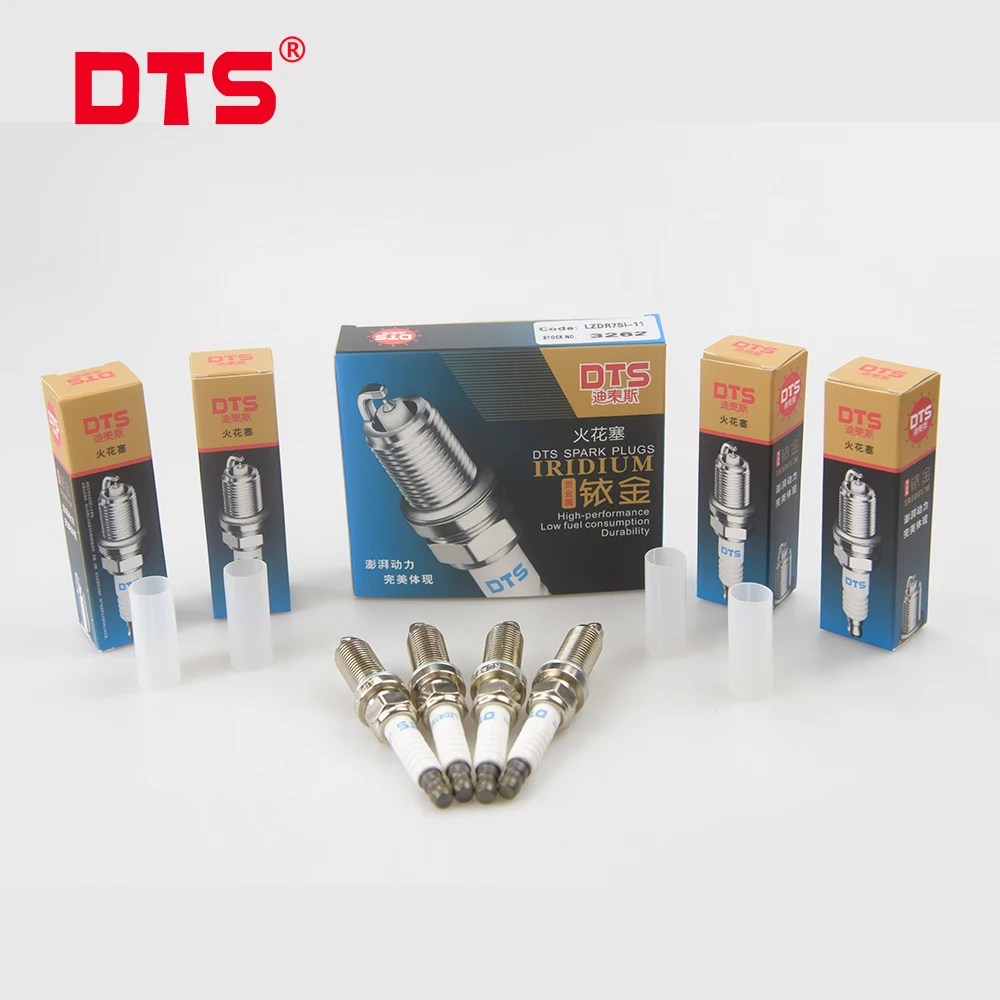 Spark Plug-1.jpg