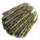 Tea Suppliers Tea Needle Ku Ding Bitter Green Tea Herb
