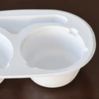 Plastic Tray Premium Customized Plastic Food Containers Macaron Container Plastic Tray