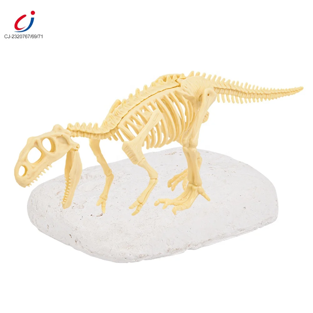 Chengji archaeology kit toy of dinosaur fossil dig kits archaeological dino excavation kit educational stem toys for kids