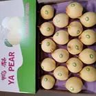 Pear New Season Green Shandong Pear Fresh Pear Ya Pear