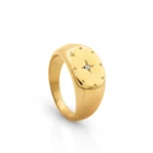 Gold Star Ring Chris April Micro-inlaid Zircon 316L Stainless Steel PVD 18K Gold Plated 6 Pointed Star Ring