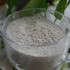 Chemical BRD Cement Hardener Powder/Concrete Accelerator Chemical Admixture