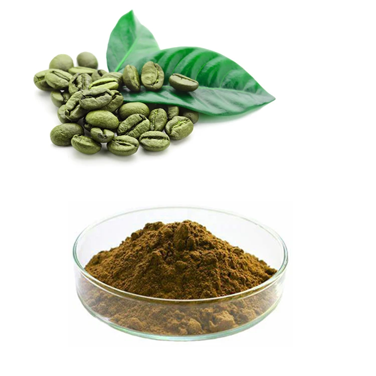 green coffee bean chlorogenic acid