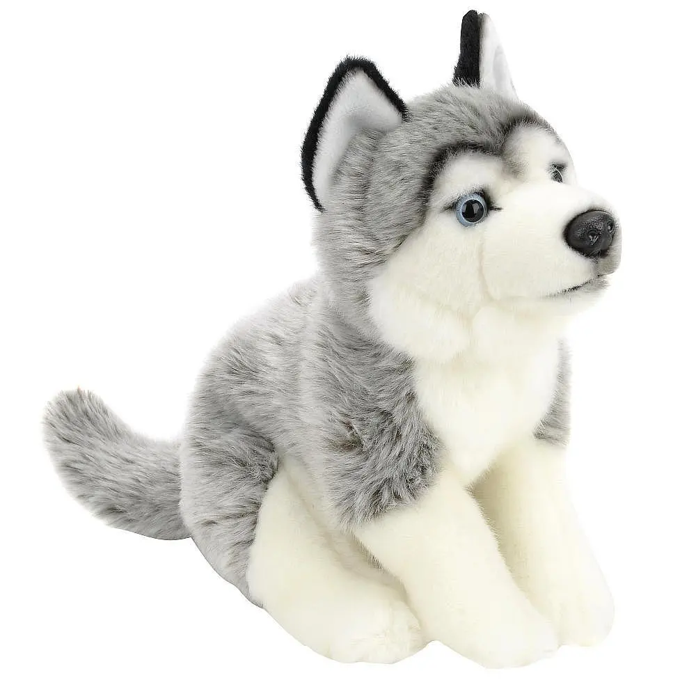 are huskies cuddly dogs
