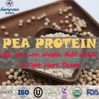 Natural Sports Nutrition Natural And Protein Supplement Pea Protein