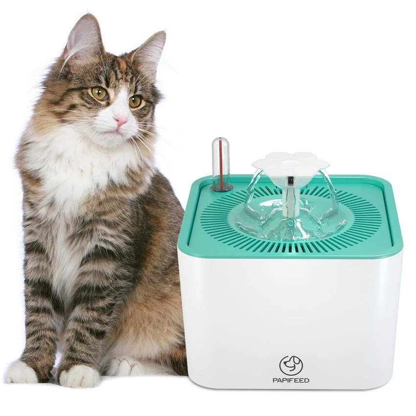 cat water feeder
