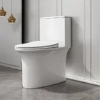 European Standard Luxury Hotel Toilets Sanitary Ware Siphon Jet Flushing Household Bathroom Cleaning Toilet