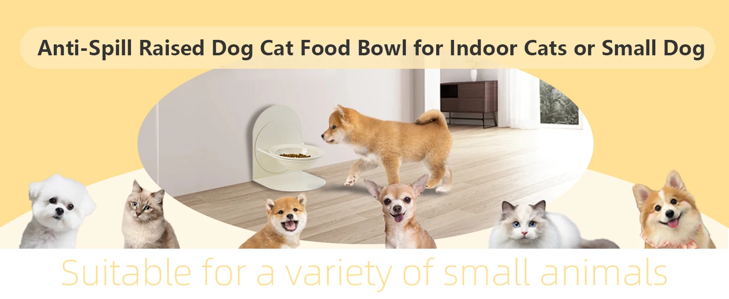 elevated cat bowl, adjustable height & angle, adjust for your cat's comfort