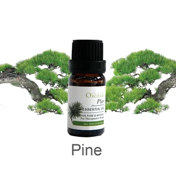 Siberian Pine Nut Oil, 100% Pure and Natural, OEM/ODM Provided