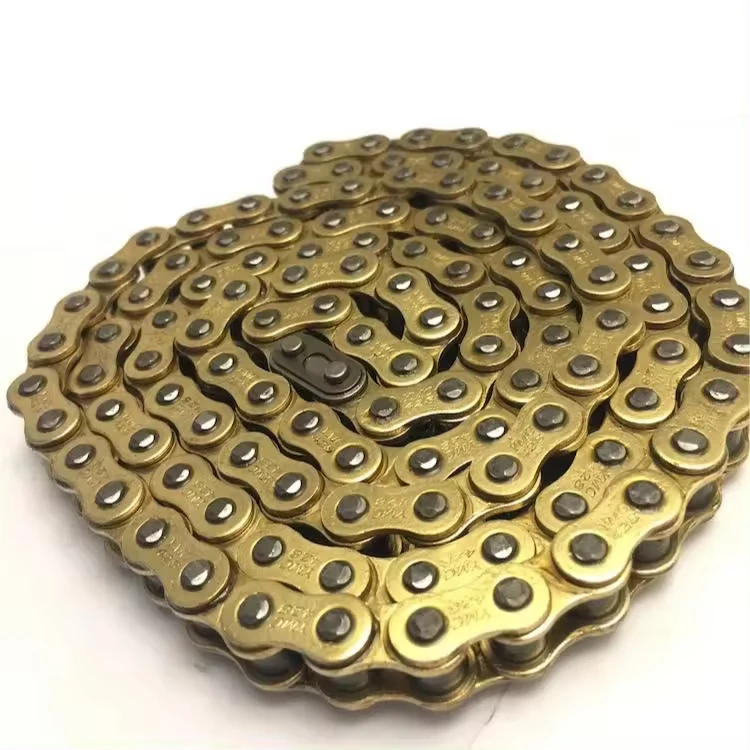 motorcycle chain (1)