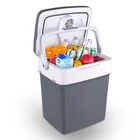 For Plastic Cooler Plastic Digital Display 29L For Camping Pinic Fishing Plastic Cooler Box Custom
