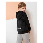 Children's Low Moq Embroidery Design Children'S Plain Hoodies Sweatshirts In Bulk