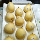 Pear Fresh Pears Pearfresh 2020 Pear Healthy Fresh Pears Fruit Wholesale For Sale