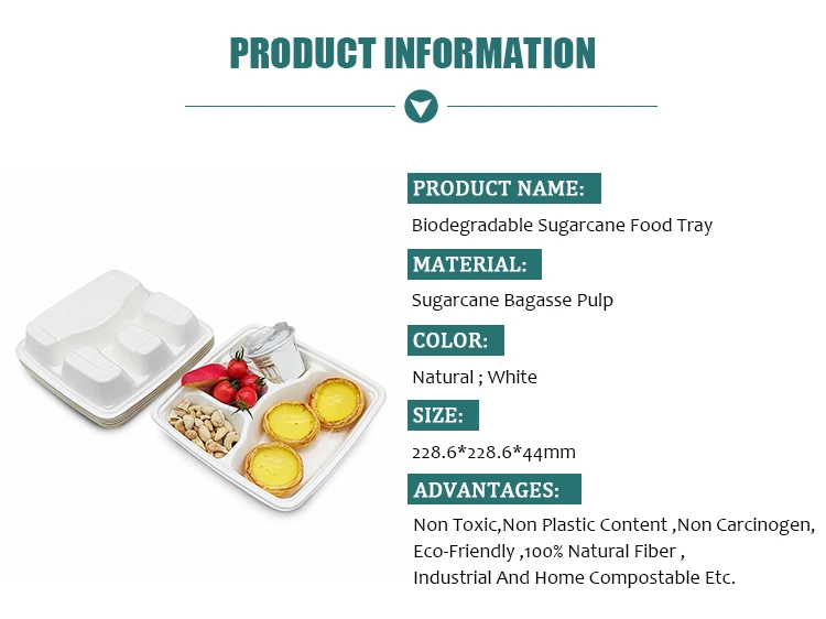 Custom Ecofriendly Biodegradable Sugarcane Bagasse Pulp 4 Compartment