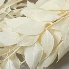 For Flower 2021 Hot Sale Small Leaf Preserved Ruscus For DIY Flower Arrangement