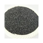 Activated Carbon Hot Sale 20-40 Mesh Water Treatment Apricot Shell Activated Carbon