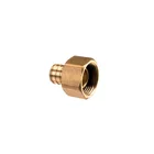 Brass Fitting Brass F1807 Lead Free Brass Pex Fitting - Adpater With Sliding Nut